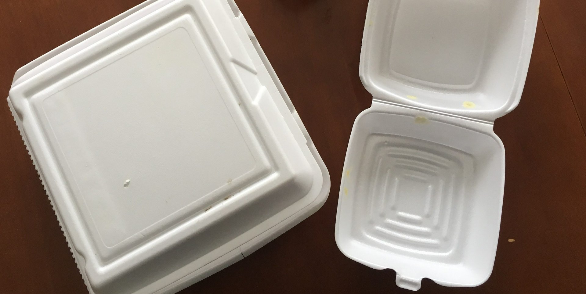 The real cost of Styrofoam shows more than meets the eye